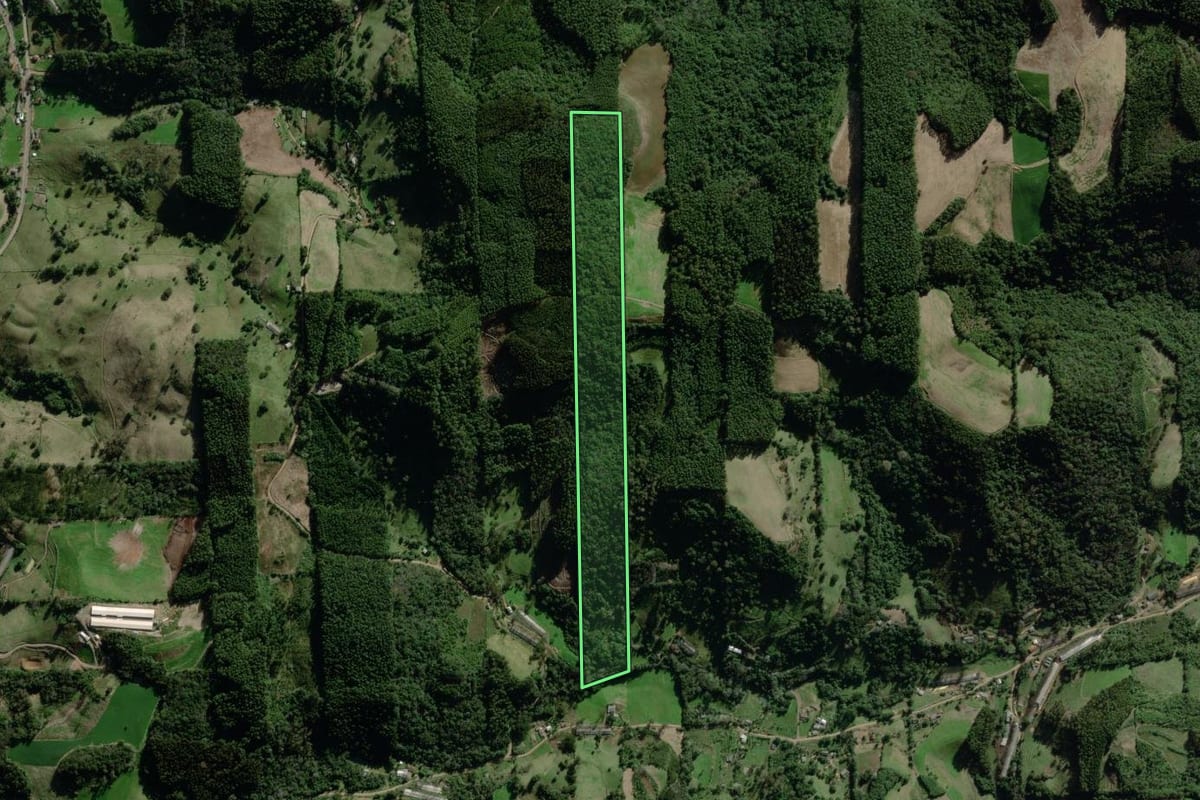 Imagem de satélite do imóvel rural em Coqueiro Baixo (RS), com o contorno declarado no CAR desenhado por cima.