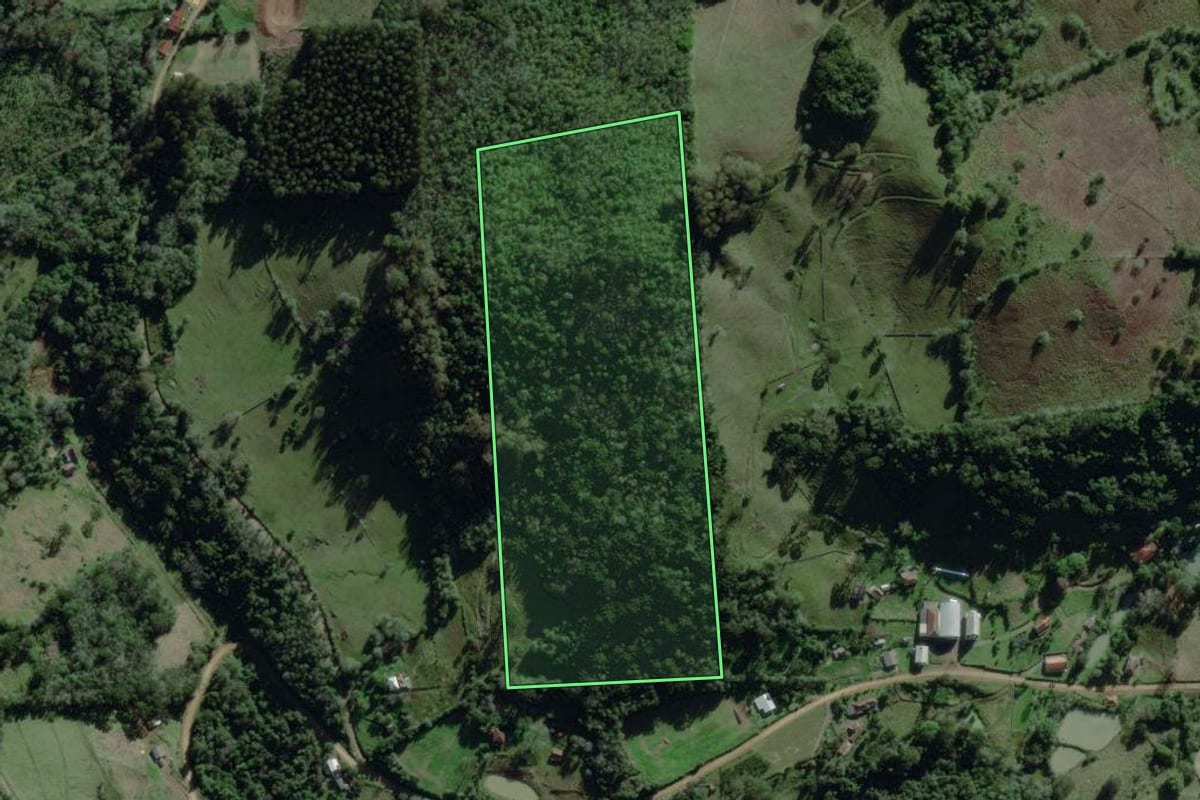 Imagem de satélite do imóvel rural em Coqueiro Baixo (RS), com o contorno declarado no CAR desenhado por cima.