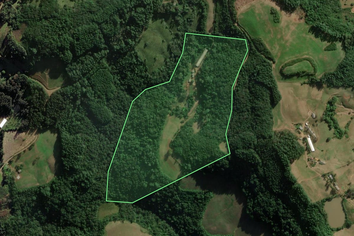 Imagem de satélite do imóvel rural em Coqueiro Baixo (RS), com o contorno declarado no CAR desenhado por cima.