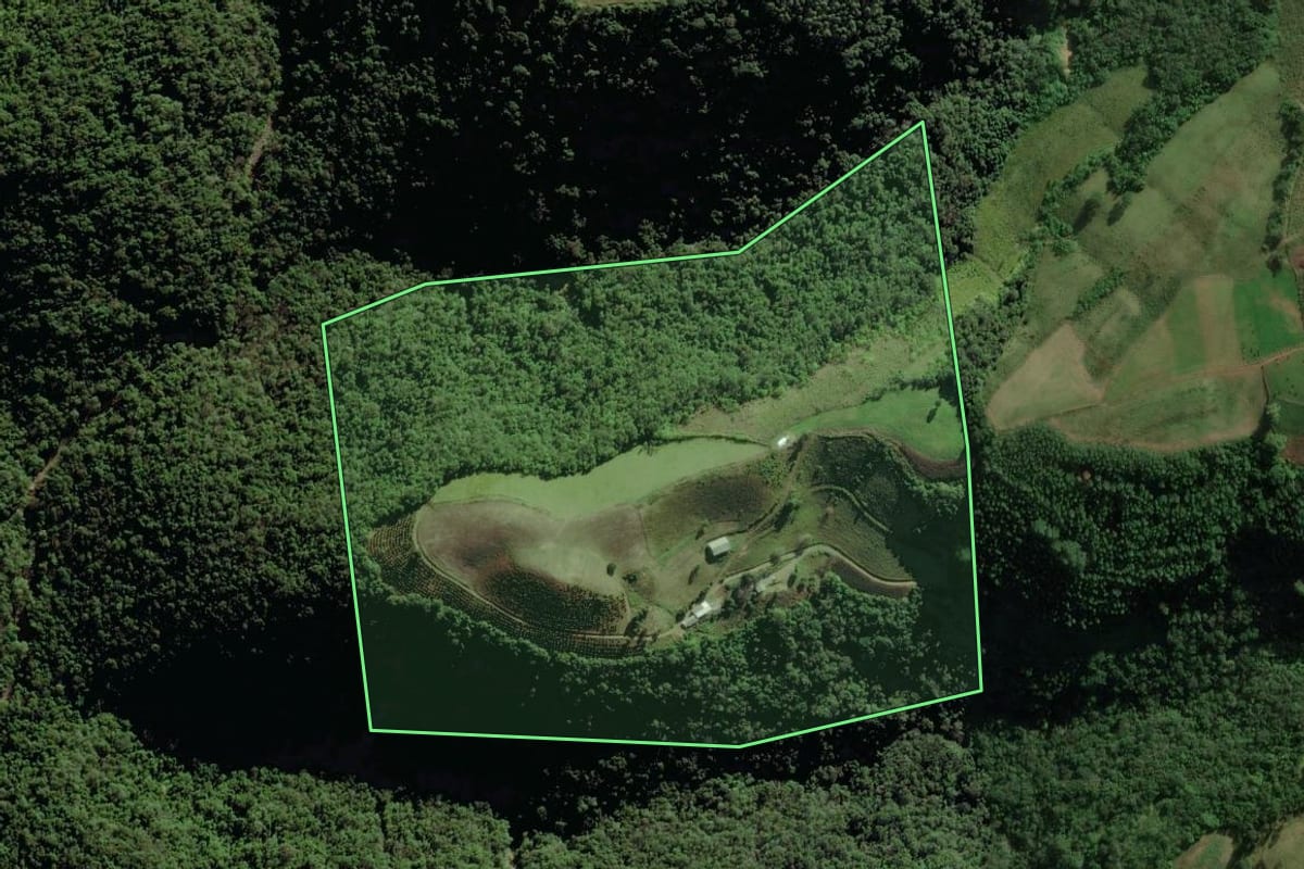 Imagem de satélite do imóvel rural em Coqueiro Baixo (RS), com o contorno declarado no CAR desenhado por cima.