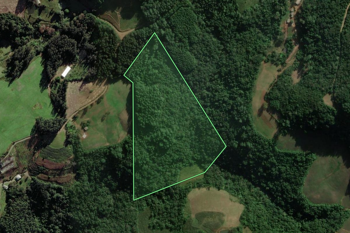 Imagem de satélite do imóvel rural em Coqueiro Baixo (RS), com o contorno declarado no CAR desenhado por cima.