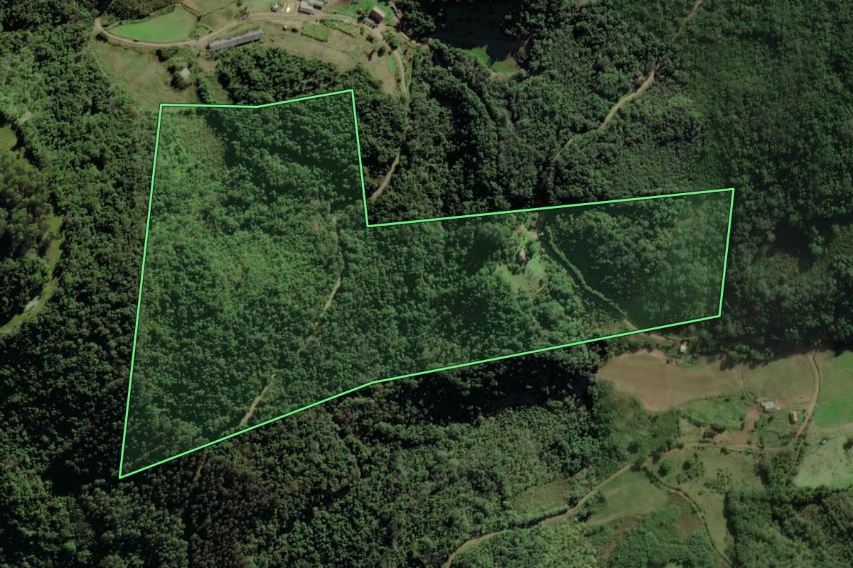 Imagem de satélite do imóvel rural em Coqueiro Baixo (RS), com o contorno declarado no CAR desenhado por cima.