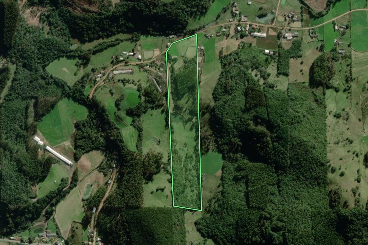 Imagem de satélite do imóvel rural em Coqueiro Baixo (RS), com o contorno declarado no CAR desenhado por cima.