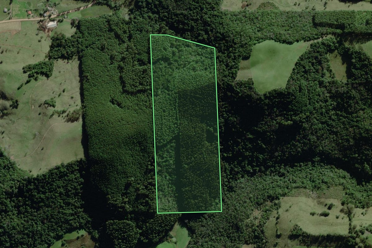 Imagem de satélite do imóvel rural em Coqueiro Baixo (RS), com o contorno declarado no CAR desenhado por cima.