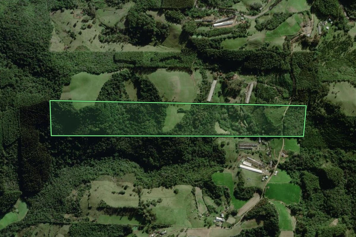 Imagem de satélite do imóvel rural em Coqueiro Baixo (RS), com o contorno declarado no CAR desenhado por cima.
