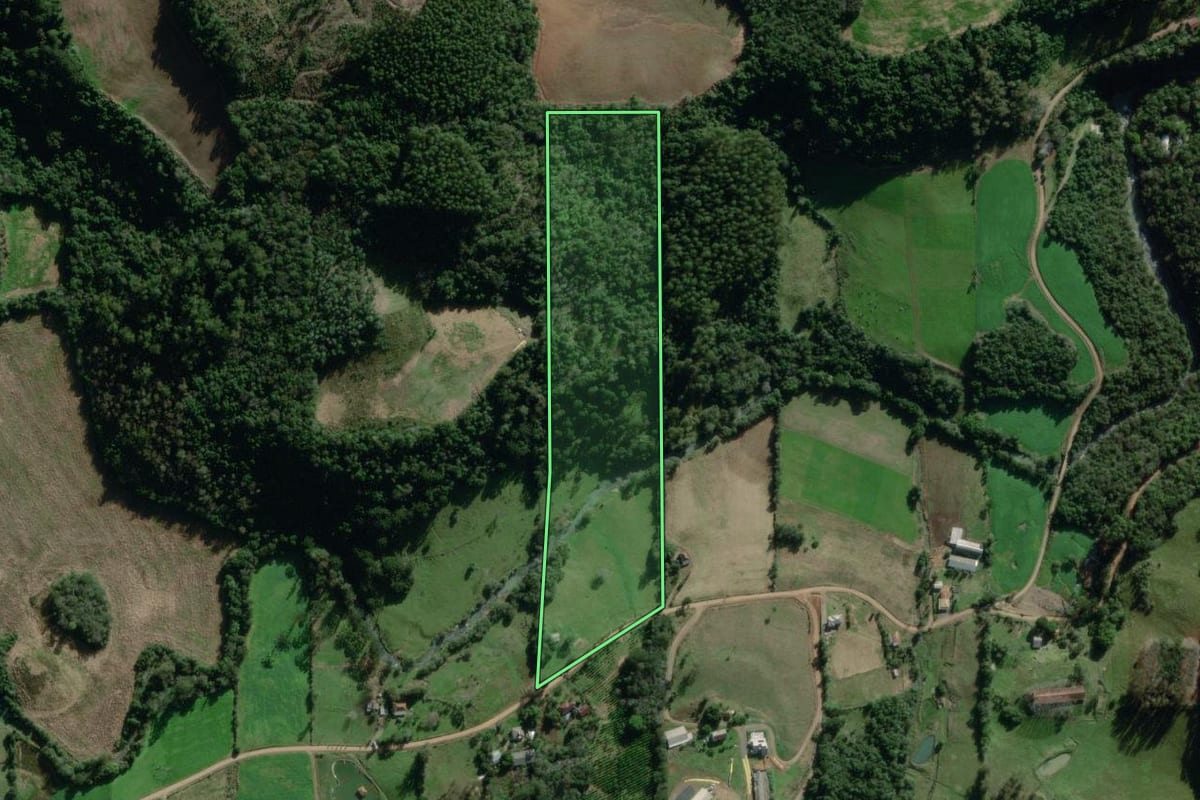 Imagem de satélite do imóvel rural em Coqueiro Baixo (RS), com o contorno declarado no CAR desenhado por cima.