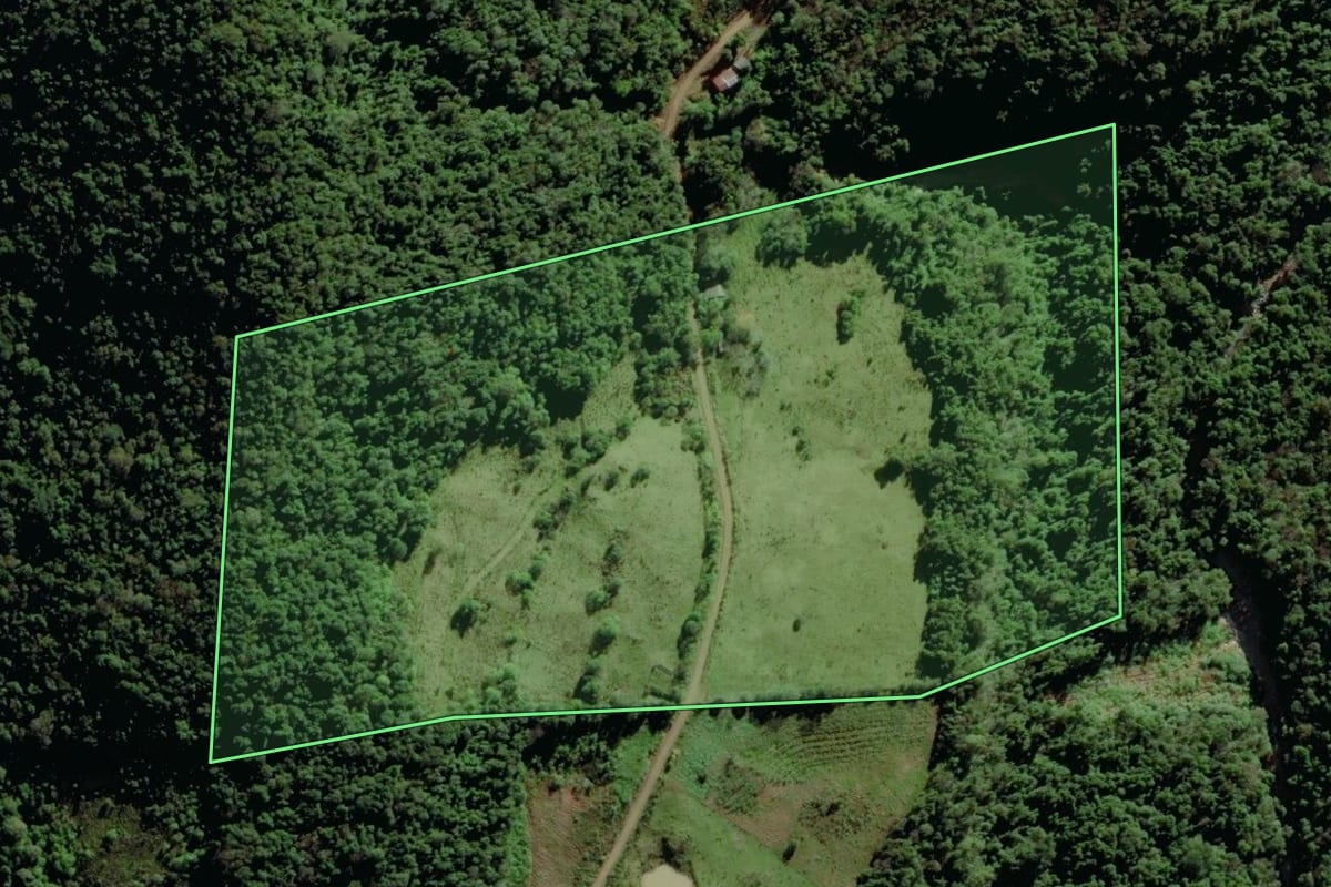 Imagem de satélite do imóvel rural em Coqueiro Baixo (RS), com o contorno declarado no CAR desenhado por cima.
