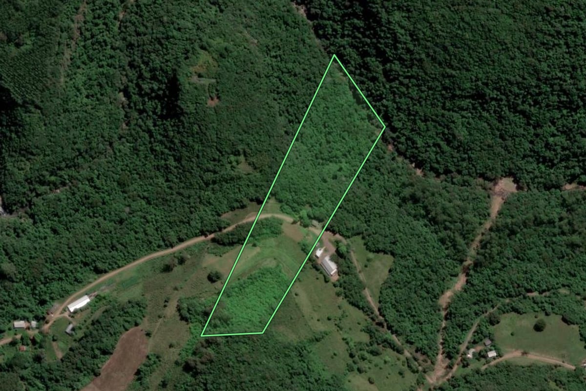 Imagem de satélite do imóvel rural em Coqueiro Baixo (RS), com o contorno declarado no CAR desenhado por cima.