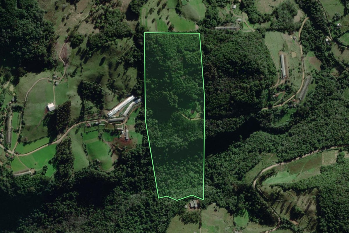 Imagem de satélite do imóvel rural em Coqueiro Baixo (RS), com o contorno declarado no CAR desenhado por cima.