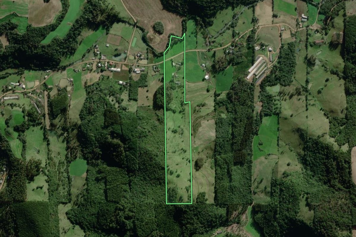 Imagem de satélite do imóvel rural em Coqueiro Baixo (RS), com o contorno declarado no CAR desenhado por cima.