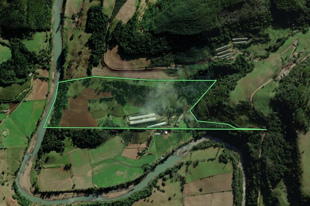 Imagem de satélite do imóvel rural em Coqueiro Baixo (RS), com o contorno declarado no CAR desenhado por cima.