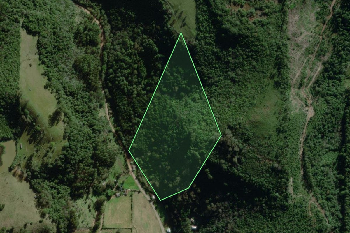 Imagem de satélite do imóvel rural em Coqueiro Baixo (RS), com o contorno declarado no CAR desenhado por cima.