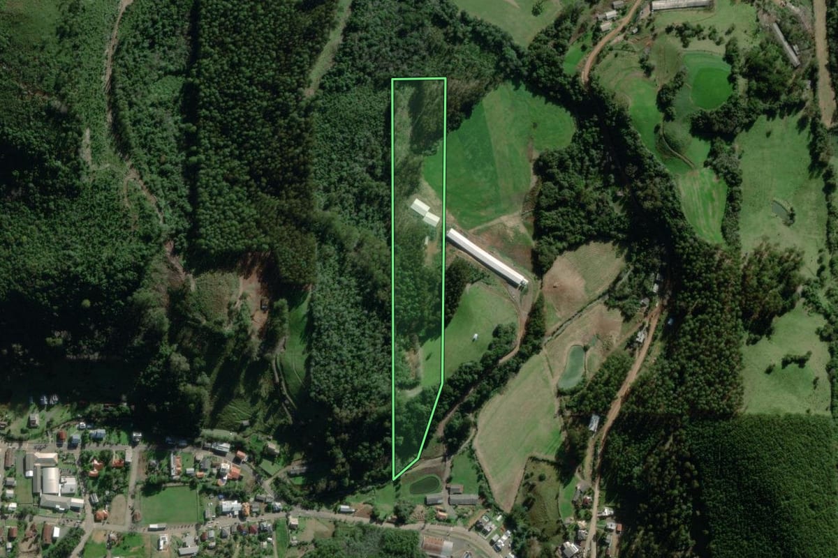 Imagem de satélite do imóvel rural em Coqueiro Baixo (RS), com o contorno declarado no CAR desenhado por cima.