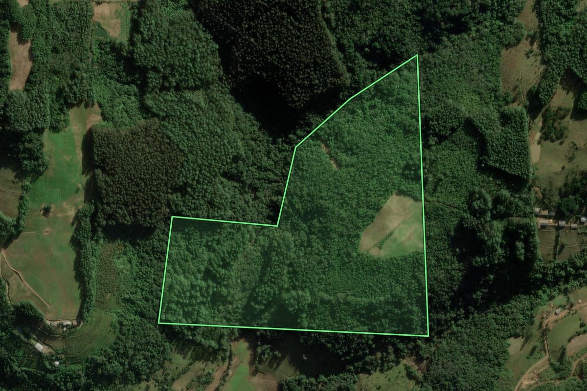 Imagem de satélite do imóvel rural em Coqueiro Baixo (RS), com o contorno declarado no CAR desenhado por cima.