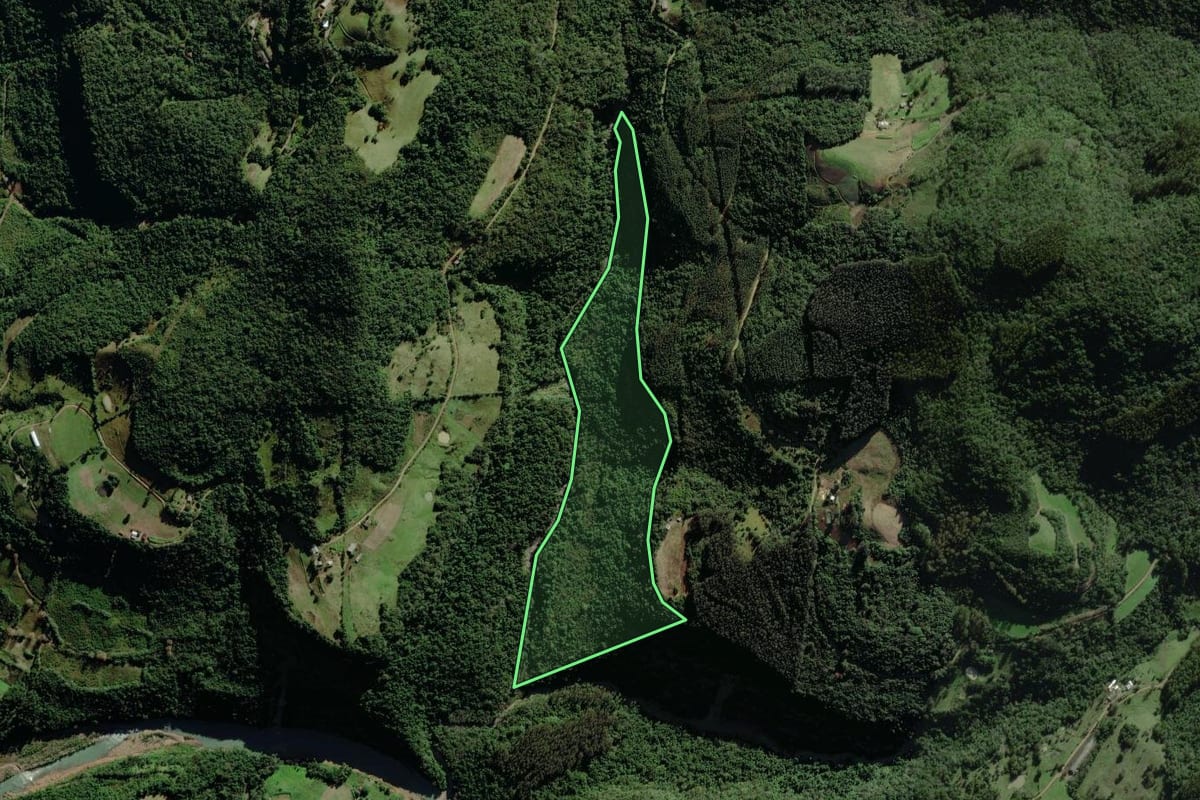 Imagem de satélite do imóvel rural em Coqueiro Baixo (RS), com o contorno declarado no CAR desenhado por cima.
