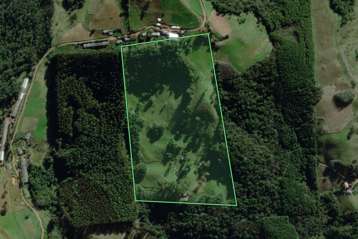 Imagem de satélite do imóvel rural em Coqueiro Baixo (RS), com o contorno declarado no CAR desenhado por cima.