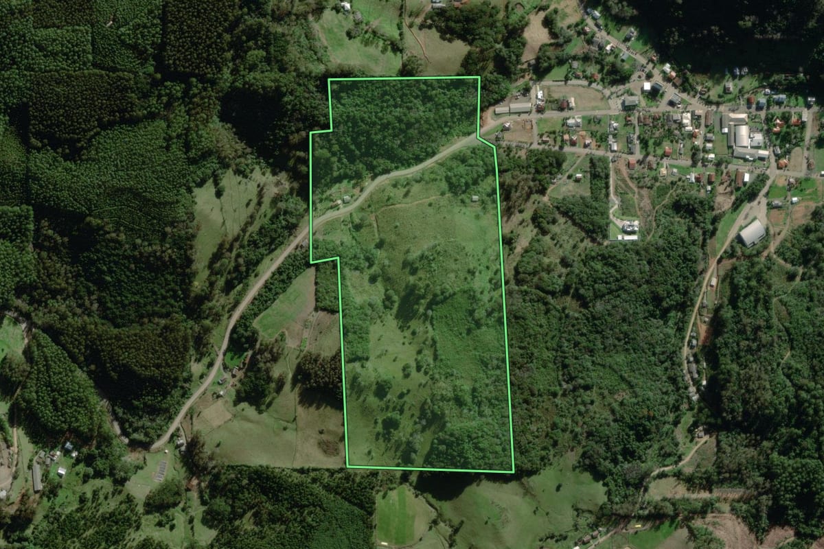 Imagem de satélite do imóvel rural em Coqueiro Baixo (RS), com o contorno declarado no CAR desenhado por cima.