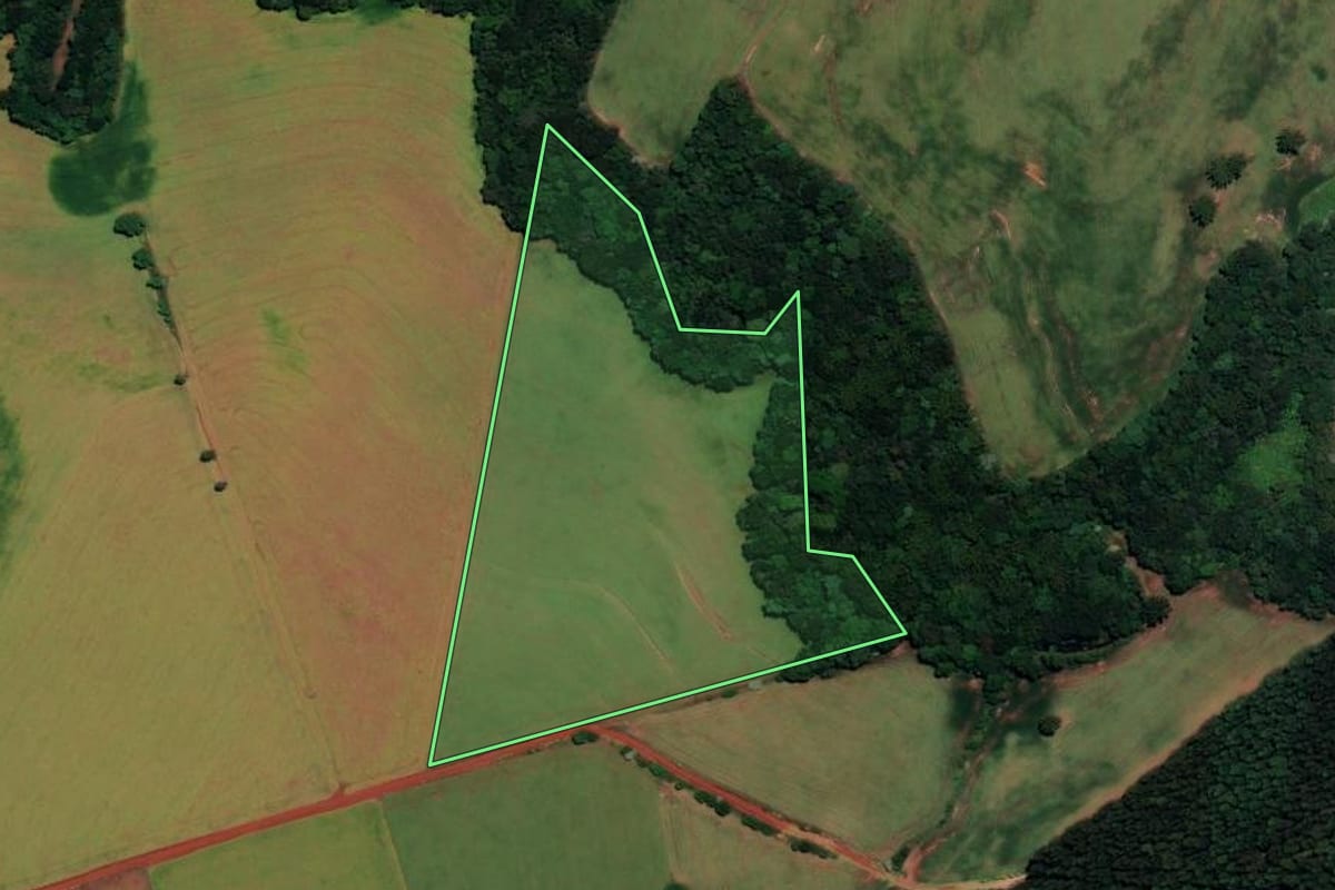 Imagem de satélite do imóvel rural em Coqueiros do Sul (RS), com o contorno declarado no CAR desenhado por cima.