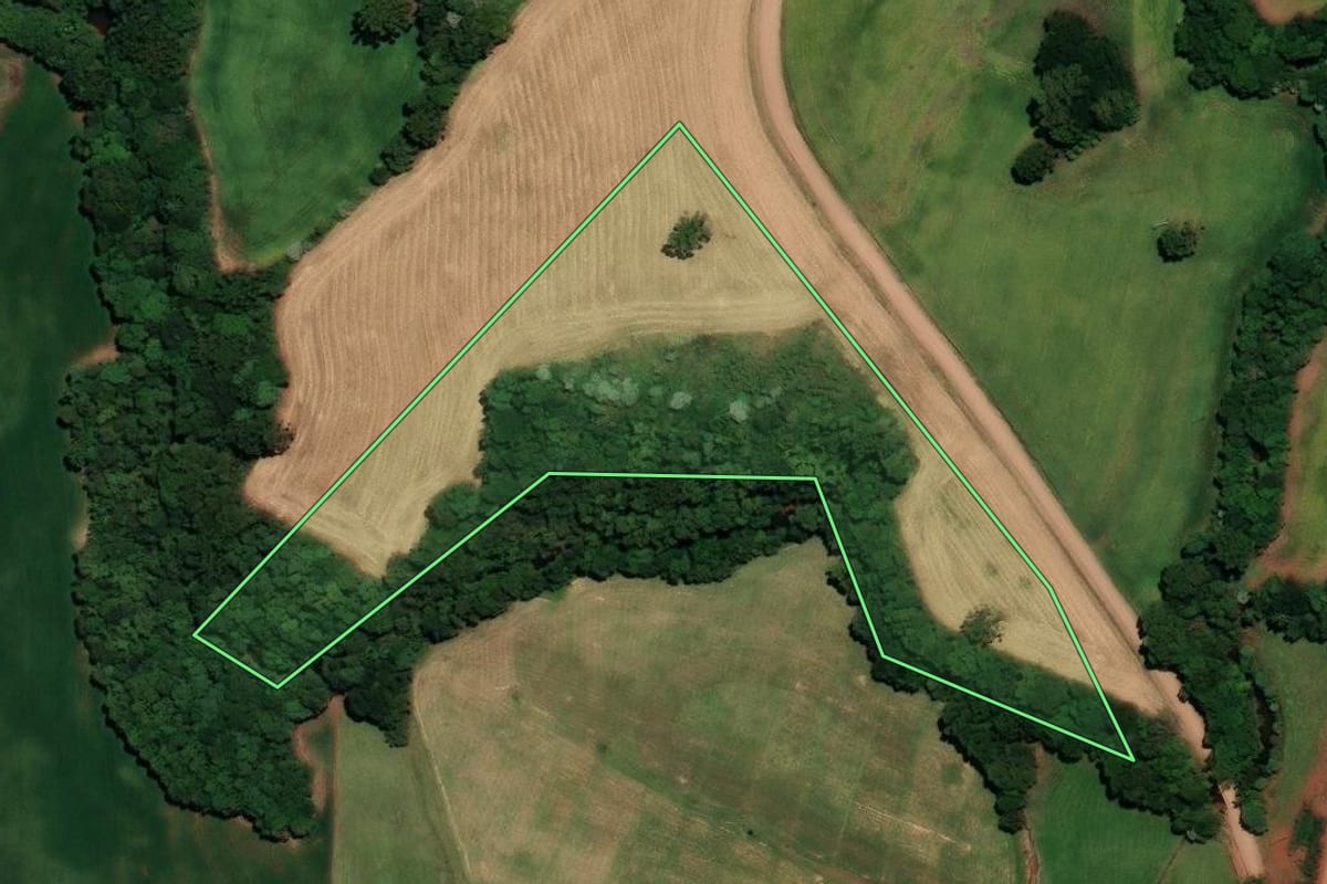 Imagem de satélite do imóvel rural em Coqueiros do Sul (RS), com o contorno declarado no CAR desenhado por cima.