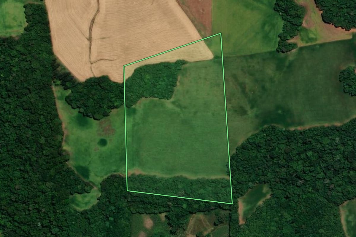 Imagem de satélite do imóvel rural em Coqueiros do Sul (RS), com o contorno declarado no CAR desenhado por cima.