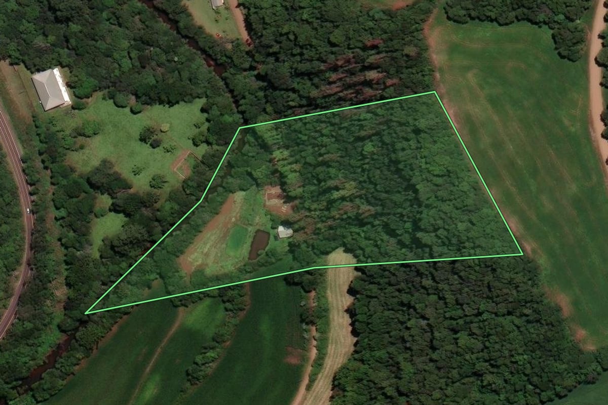 Imagem de satélite do imóvel rural em Coqueiros do Sul (RS), com o contorno declarado no CAR desenhado por cima.