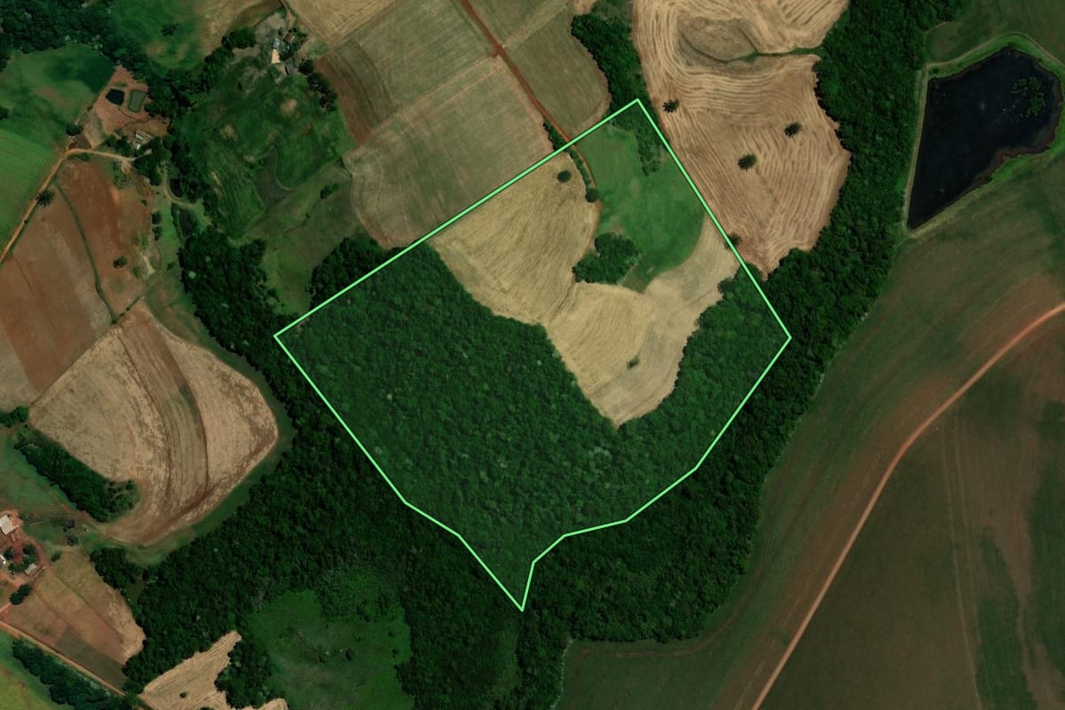 Imagem de satélite do imóvel rural em Coqueiros do Sul (RS), com o contorno declarado no CAR desenhado por cima.