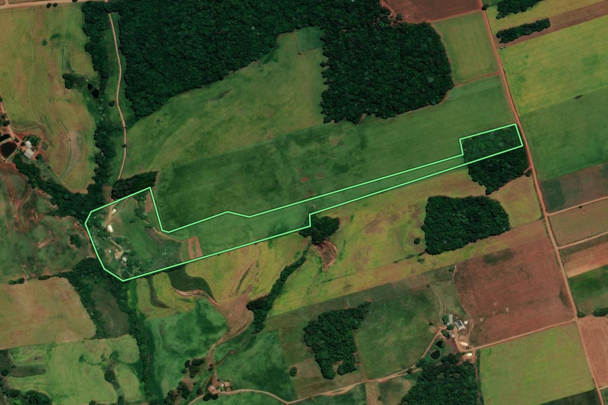 Imagem de satélite do imóvel rural em Coqueiros do Sul (RS), com o contorno declarado no CAR desenhado por cima.