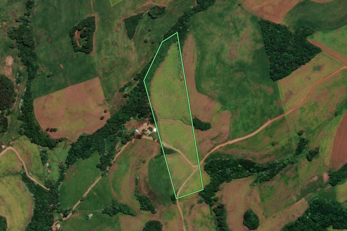 Imagem de satélite do imóvel rural em Coqueiros do Sul (RS), com o contorno declarado no CAR desenhado por cima.