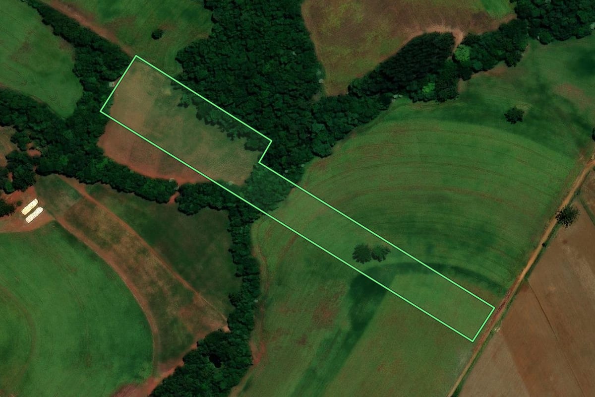 Imagem de satélite do imóvel rural em Coqueiros do Sul (RS), com o contorno declarado no CAR desenhado por cima.