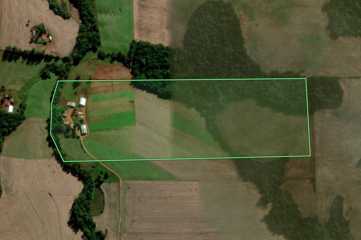 Imagem de satélite do imóvel rural em Coronel Barros (RS), com o contorno declarado no CAR desenhado por cima.