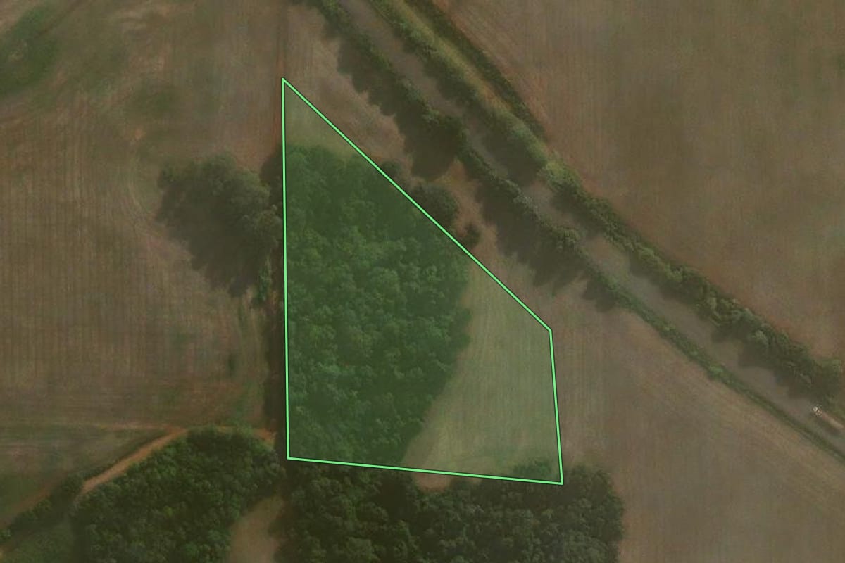 Imagem de satélite do imóvel rural em Coronel Barros (RS), com o contorno declarado no CAR desenhado por cima.