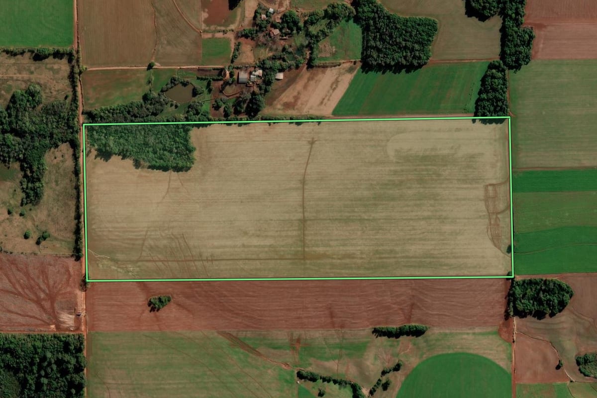 Imagem de satélite do imóvel rural em Coronel Barros (RS), com o contorno declarado no CAR desenhado por cima.