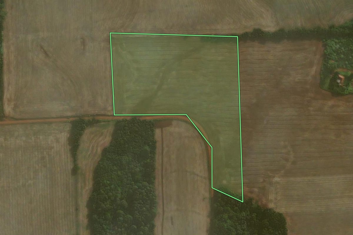Imagem de satélite do imóvel rural em Coronel Barros (RS), com o contorno declarado no CAR desenhado por cima.