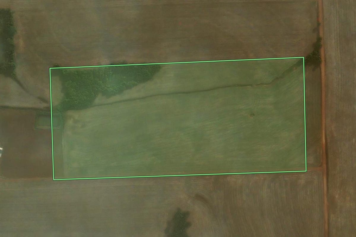 Imagem de satélite do imóvel rural em Coronel Barros (RS), com o contorno declarado no CAR desenhado por cima.