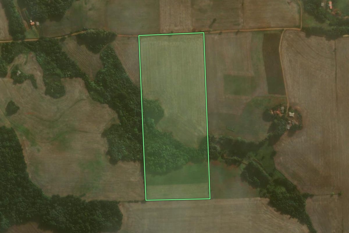 Imagem de satélite do imóvel rural em Coronel Barros (RS), com o contorno declarado no CAR desenhado por cima.