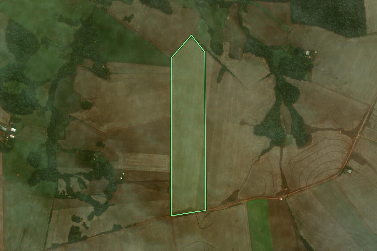 Imagem de satélite do imóvel rural em Coronel Barros (RS), com o contorno declarado no CAR desenhado por cima.
