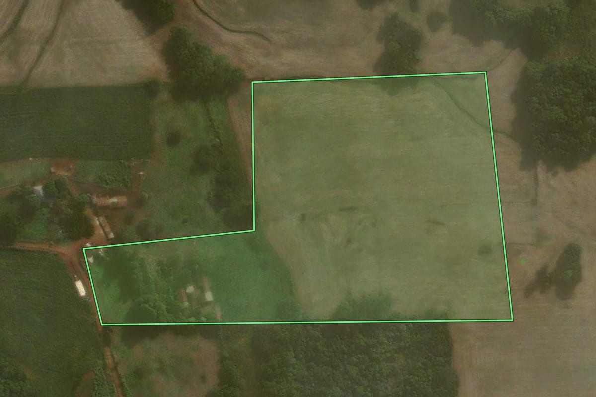 Imagem de satélite do imóvel rural em Coronel Barros (RS), com o contorno declarado no CAR desenhado por cima.