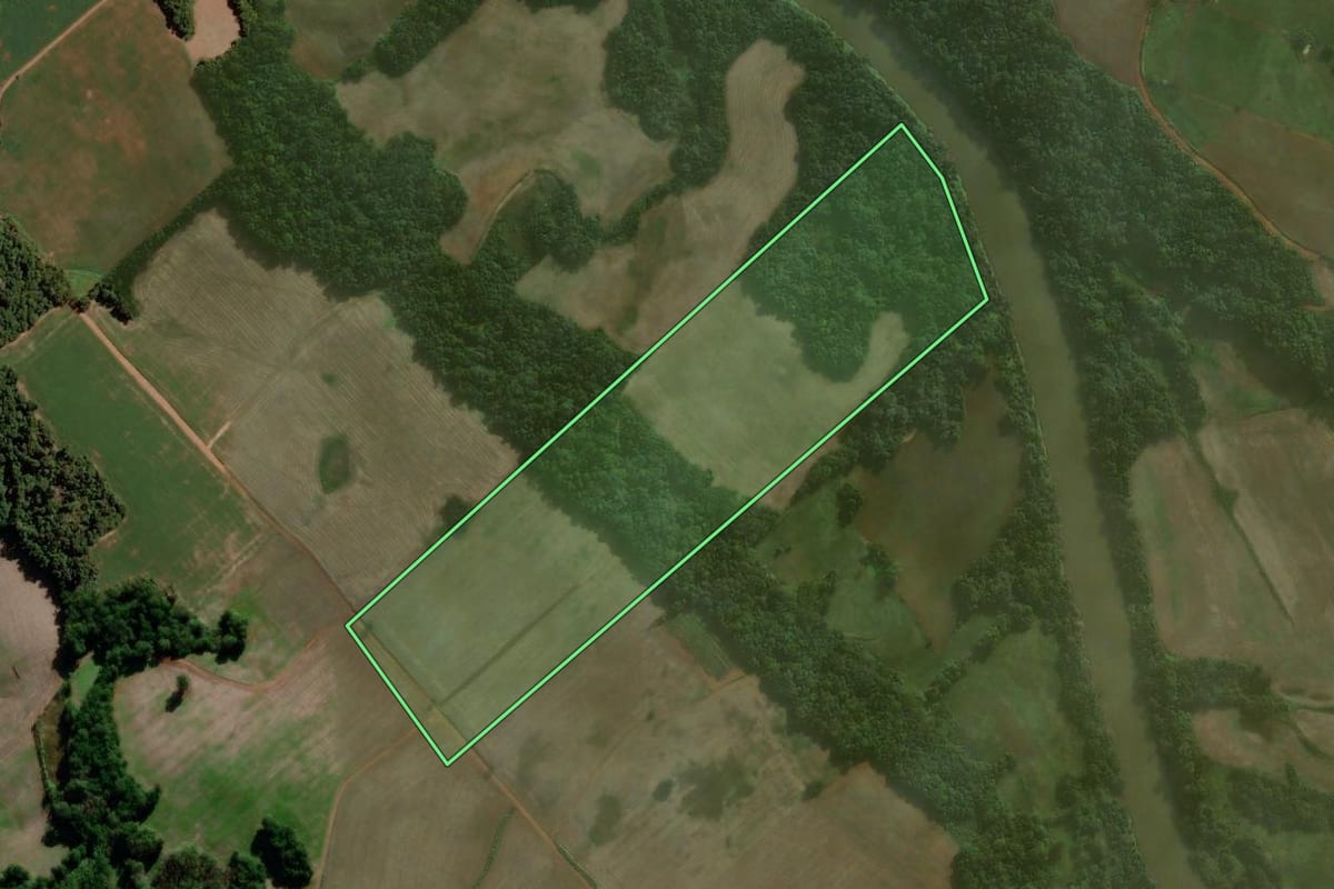 Imagem de satélite do imóvel rural em Coronel Barros (RS), com o contorno declarado no CAR desenhado por cima.