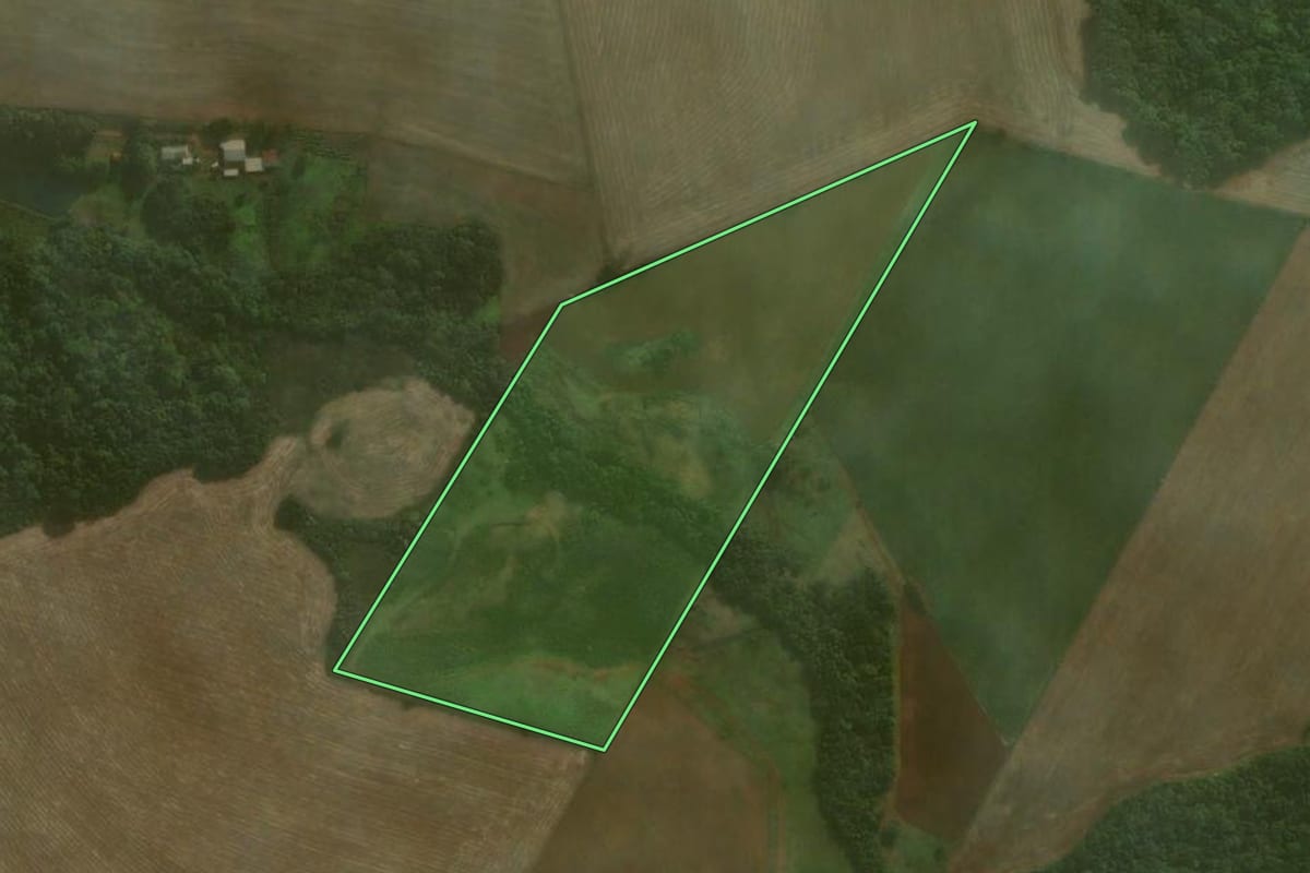 Imagem de satélite do imóvel rural em Coronel Barros (RS), com o contorno declarado no CAR desenhado por cima.