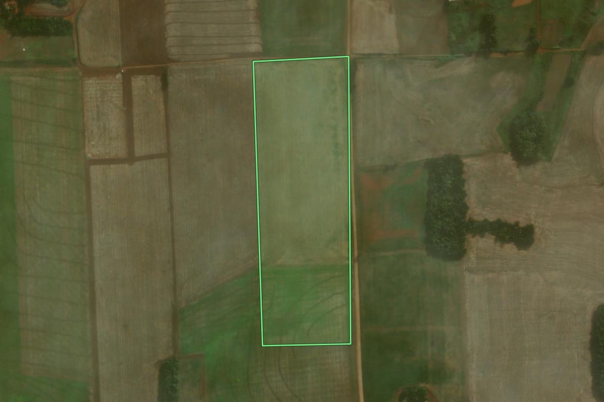 Imagem de satélite do imóvel rural em Coronel Barros (RS), com o contorno declarado no CAR desenhado por cima.