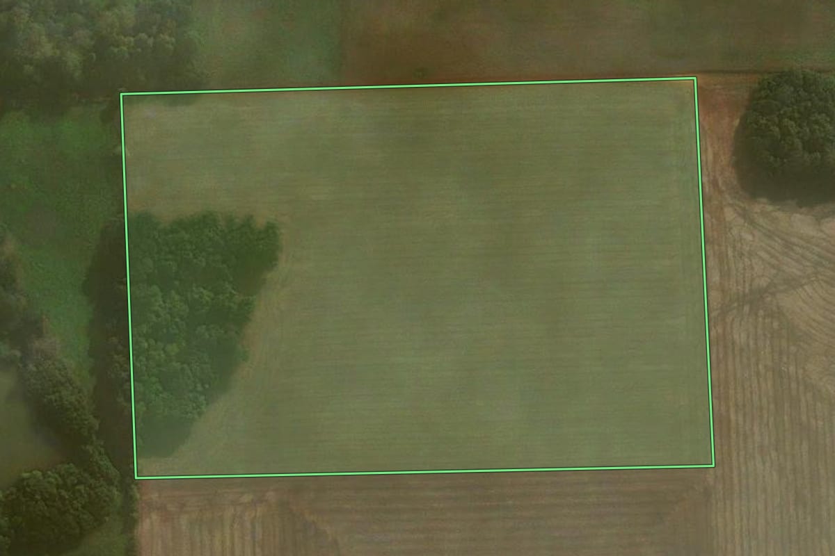 Imagem de satélite do imóvel rural em Coronel Barros (RS), com o contorno declarado no CAR desenhado por cima.