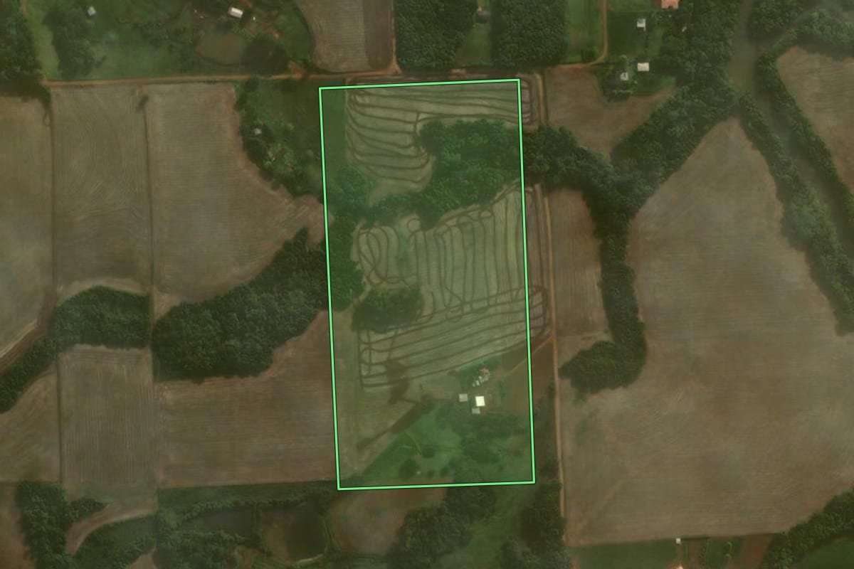 Imagem de satélite do imóvel rural em Coronel Barros (RS), com o contorno declarado no CAR desenhado por cima.