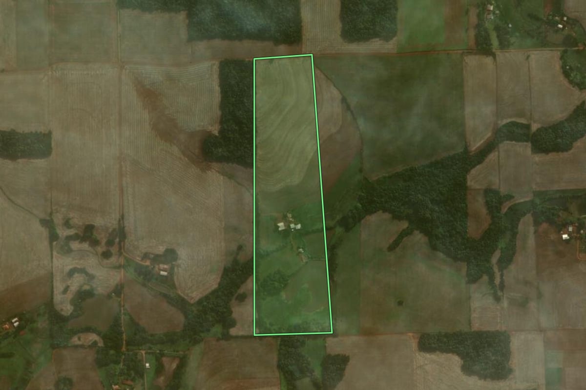 Imagem de satélite do imóvel rural em Coronel Barros (RS), com o contorno declarado no CAR desenhado por cima.