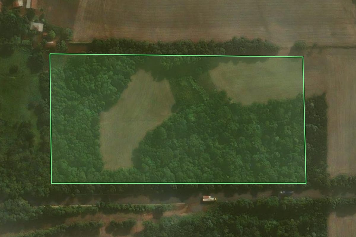 Imagem de satélite do imóvel rural em Coronel Barros (RS), com o contorno declarado no CAR desenhado por cima.