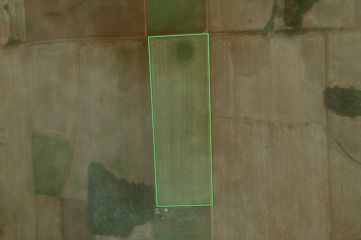 Imagem de satélite do imóvel rural em Coronel Barros (RS), com o contorno declarado no CAR desenhado por cima.