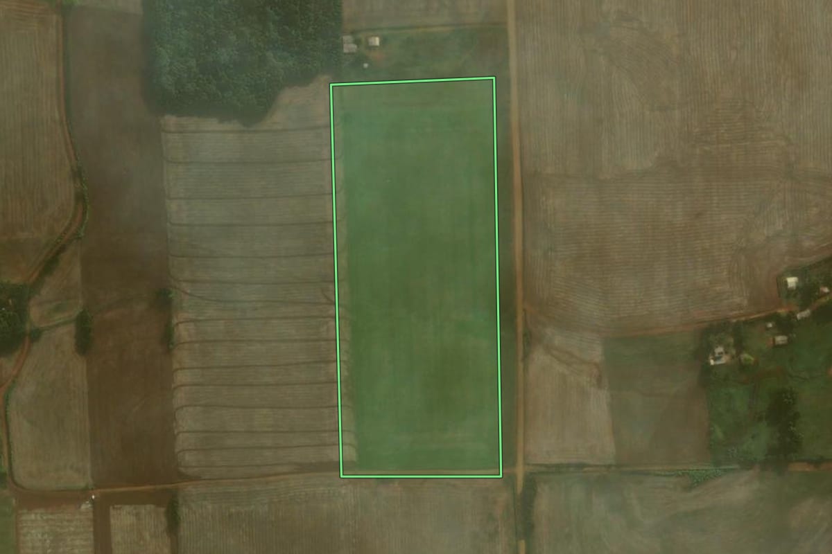 Imagem de satélite do imóvel rural em Coronel Barros (RS), com o contorno declarado no CAR desenhado por cima.