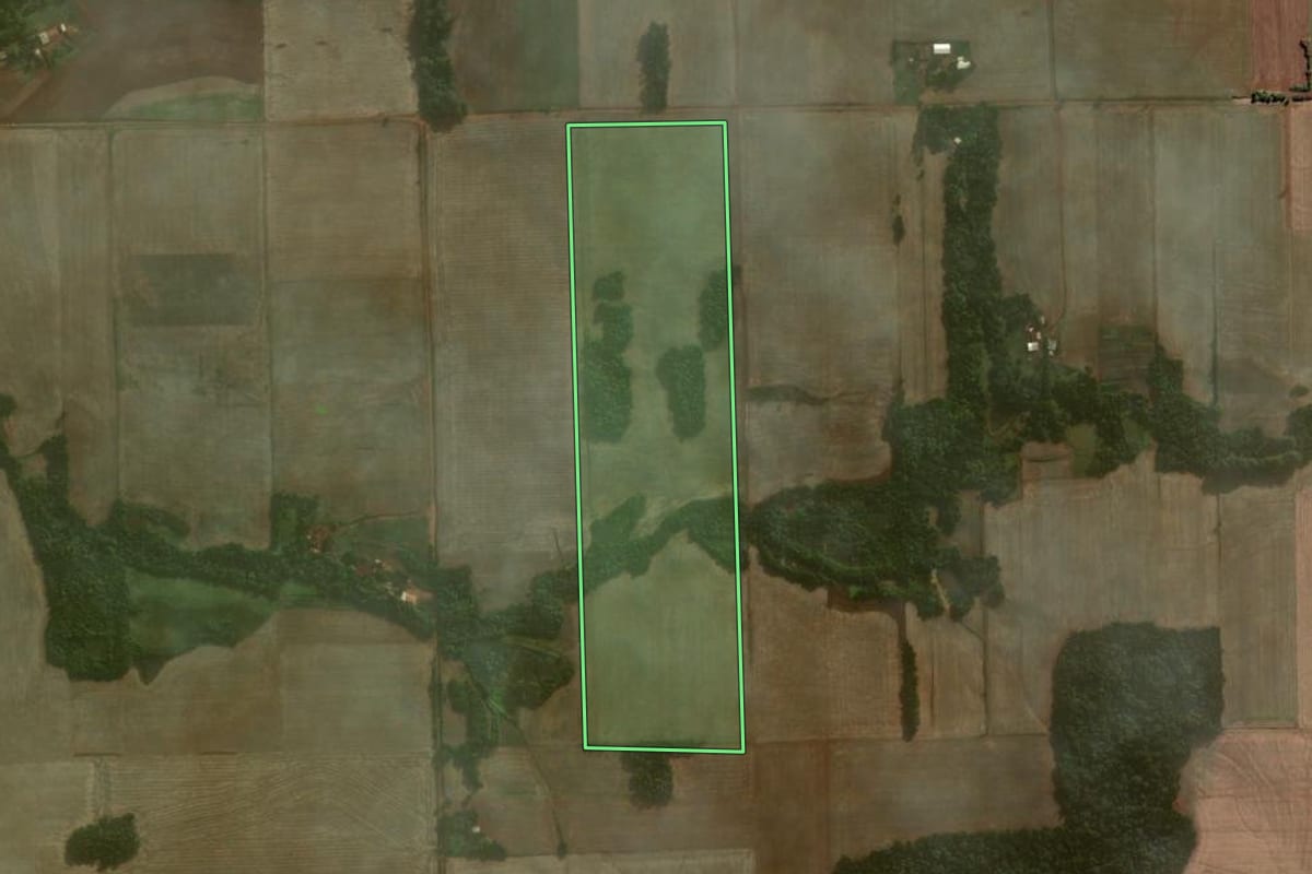 Imagem de satélite do imóvel rural em Coronel Barros (RS), com o contorno declarado no CAR desenhado por cima.