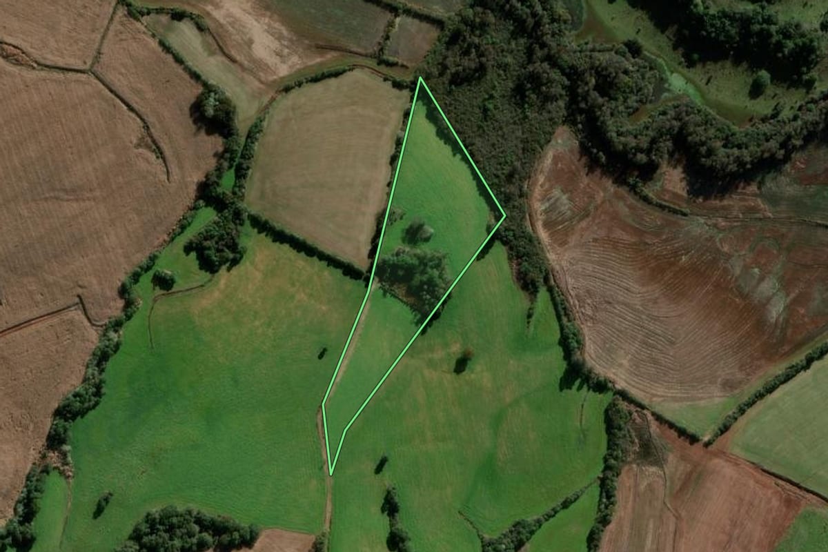 Imagem de satélite do imóvel rural em Coronel Bicaco (RS), com o contorno declarado no CAR desenhado por cima.