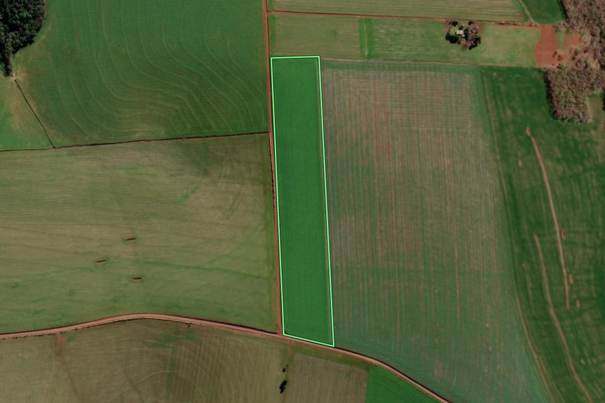 Imagem de satélite do imóvel rural em Coronel Bicaco (RS), com o contorno declarado no CAR desenhado por cima.