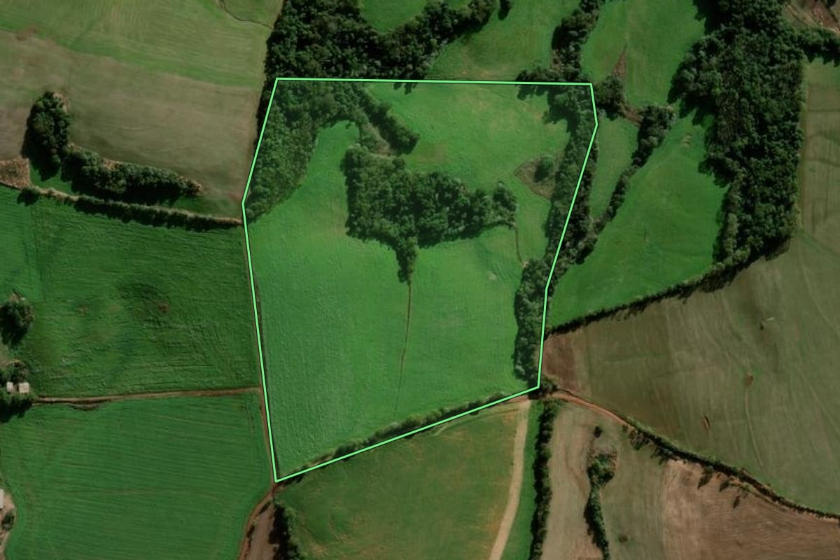 Imagem de satélite do imóvel rural em Coronel Bicaco (RS), com o contorno declarado no CAR desenhado por cima.